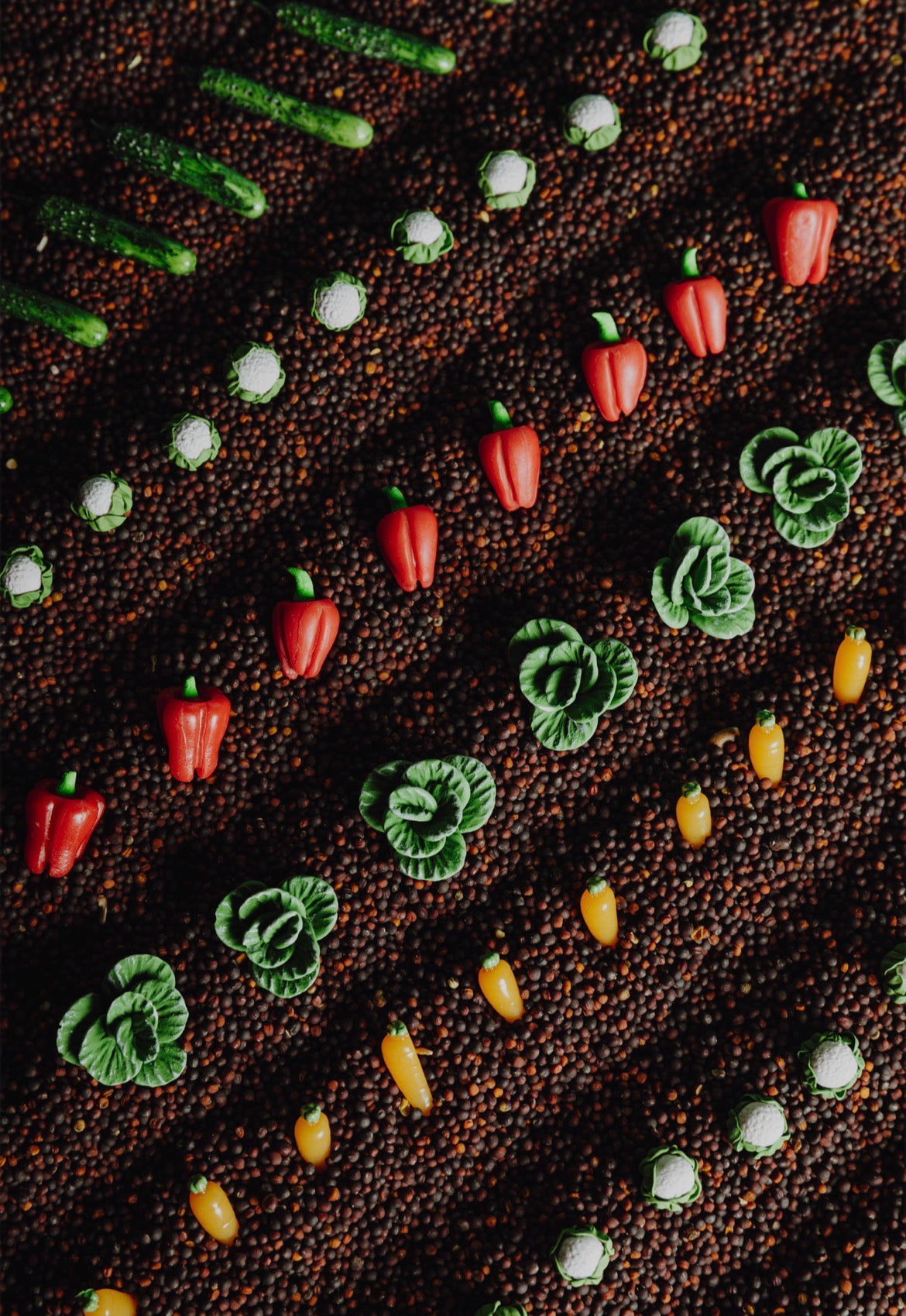 Bouteille sensorielle - Légumes