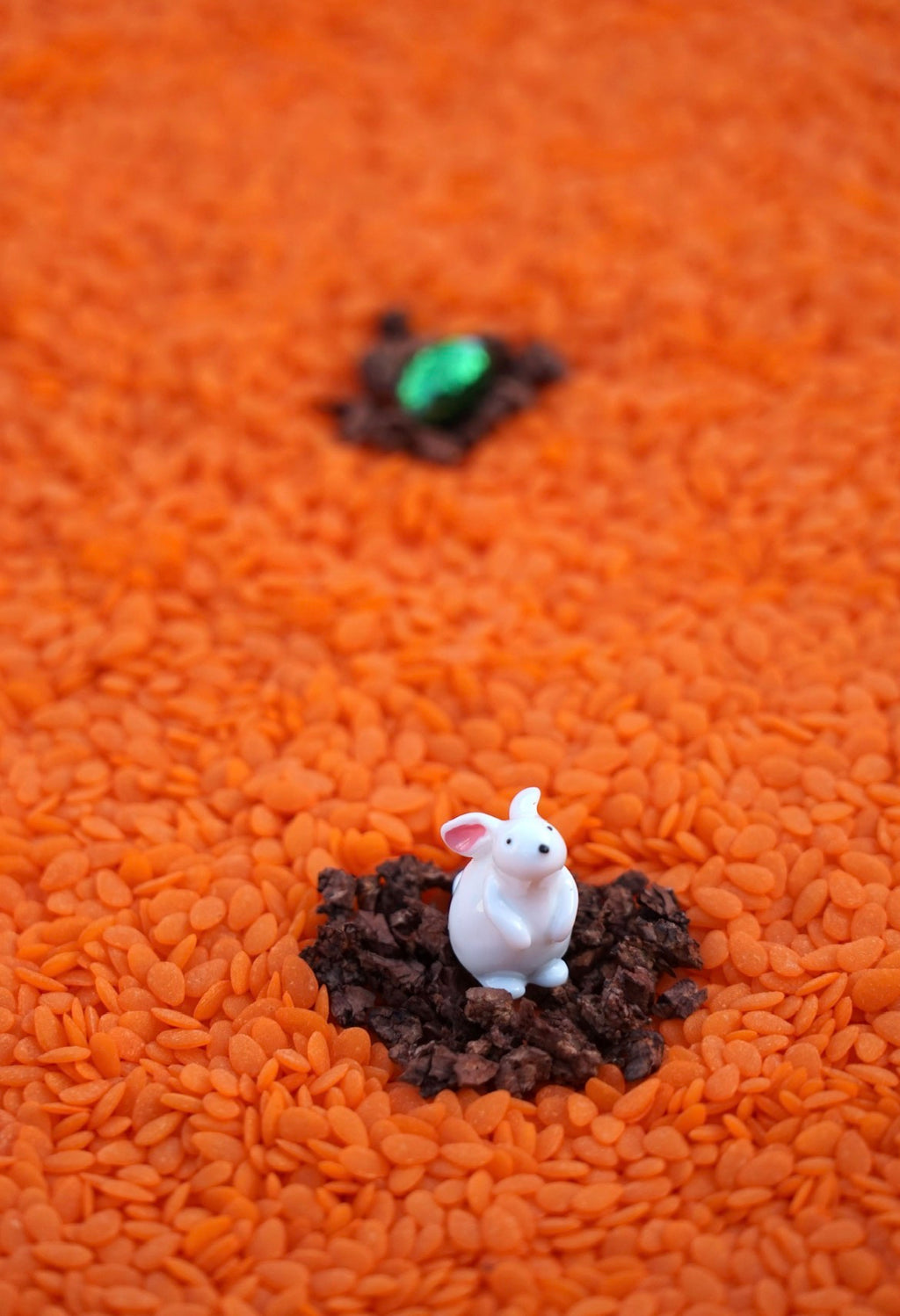 Bouteille sensorielle - Lapin