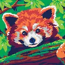 colorizzy-panda-roux-shiba 3.webp